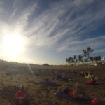 Stabi-Training am Strand bei den RUNNING Company Laufreisen in die Toskana und nach Lanzarote